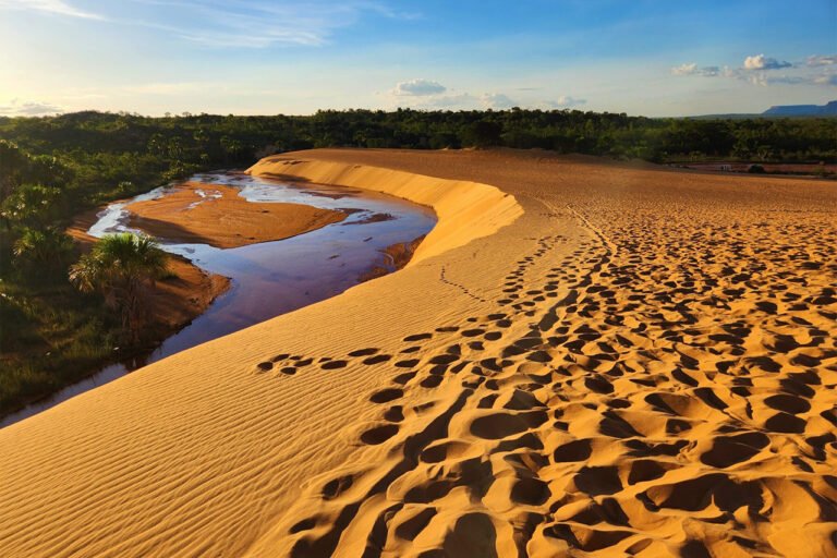 Jalapão: Um paraíso natural escondido no coração do Brasil